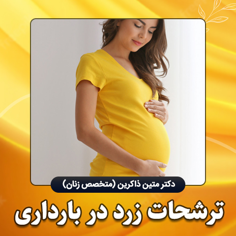 ترشحات-زرد-در-بارداری